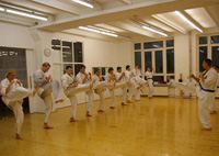 Dojo Kreuzberg 2011